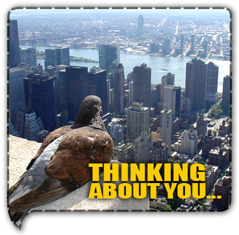 5 Free Thinking of You Ecards to Rekindle Old Ties | The Conscious Life